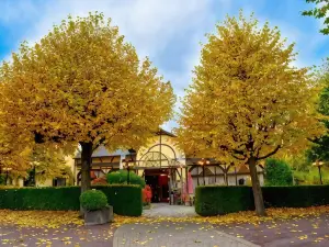 Hansa Hotel