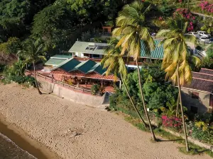 The Still Beach House