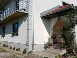 Domaćinstvo Sinđelić