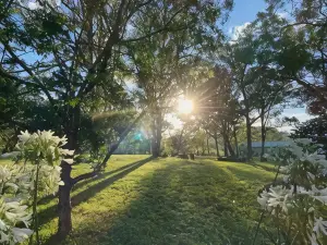 Kingaley Farmstay