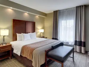 Comfort Inn West Monroe Near Sports & Events Center