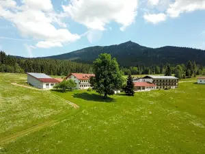 Osserhotel - B&B am Osser