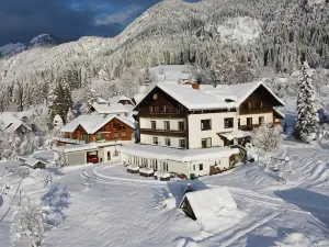 Naturgut Gailtal