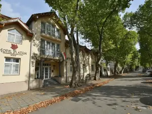 Hotel Platan