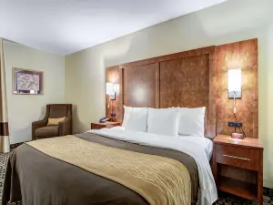 Comfort Inn & Suites Athens North