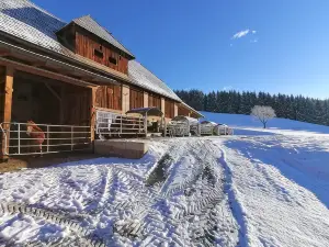 Staudachhof