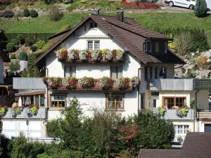 Gästehaus Und Ferienwohnung Bächle
