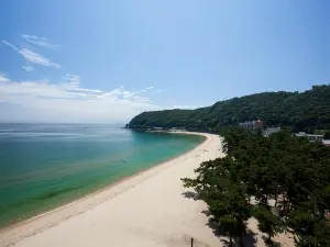 島海月