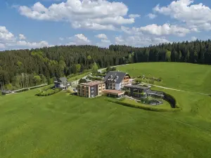 Hotel Schwarz Alm Zwettl