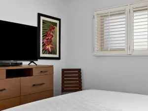 1 Bedroom Condo :: Oceanfront Resort Kapaa Shore