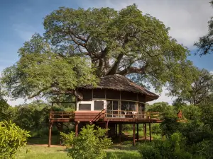 Elewana Tarangire Treetops