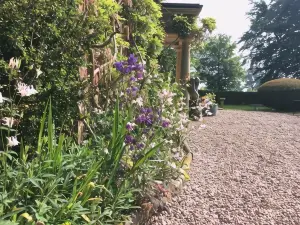 Mid Wales Arts B&B