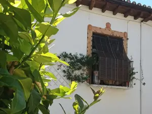 라 솔라나 아레나스 데 산 페드로