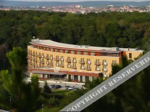 Fagus Hotel Conference & Spa Superior