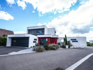 Villa Colmar, swimming pool, spa and movie room.