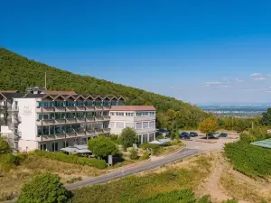 Arens Hotel 327Mnn