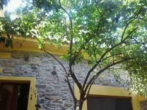 B&B Su Semucu