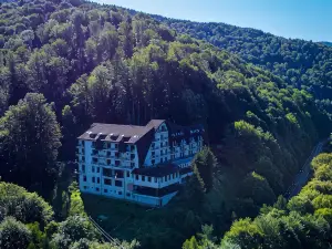 Hotel Valea cu Pesti