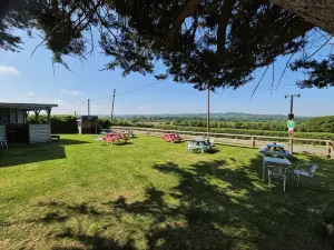 เดอะ ฟลายอิ้ง ฟิช สเตเบิล