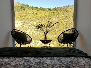Casas y Cuevas El Solins