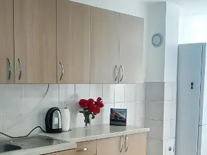 Apartman Andrić