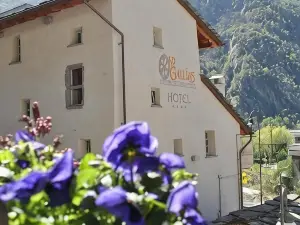 Hotel Ad Gallias