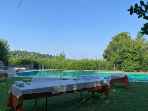 瓦爾馬拉納德託尼別墅-歷史宅邸