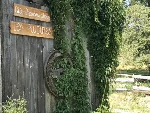Chambre d'hôte Aux Pivoines