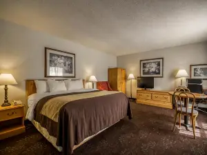 Comfort Inn
