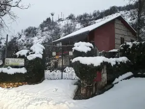 B&B Villa Tina