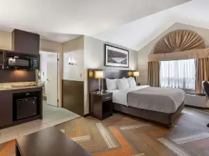 Quality Hotel