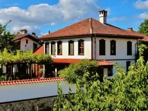 Iliikova House
