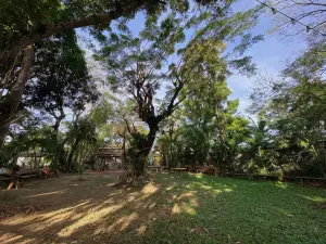 Rio Vista Bed and Breakfast