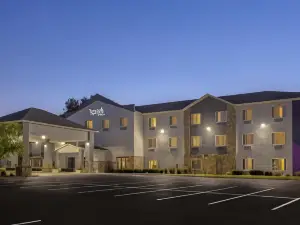 Spark by Hilton Ames