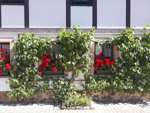 Balancehaus Kohren-Sahlis, Dein Kurhaus in Sachsen