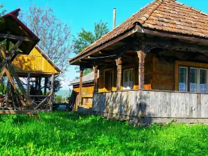 Pensiunea Ilea