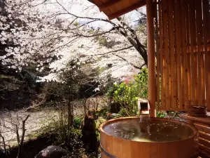 Motoyu Ryokan  Atsugi Iiyama Onsen