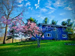 Inn Between the Lakes