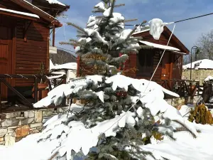 Chalet Parea