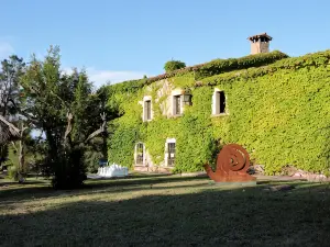 Chilliman & Mas Miró Biofarm
