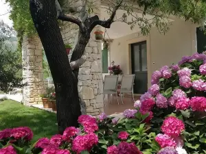 Apartments Villa Ina