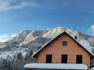 Apartments Laznica
