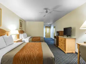 Comfort Inn & Suites Sequoia Kings Canyon