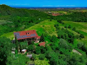 B&B Naturin - Vegan Eco Farm