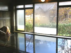 水神温泉　湯元　東館
