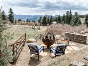 Barrel Sauna! Clean Cabin with Private Creek Access,  Wi-Fi, and Pet Friendly!