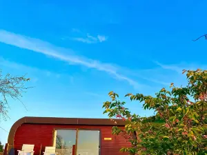 The Pod & Cwtch Luxury Accommodation