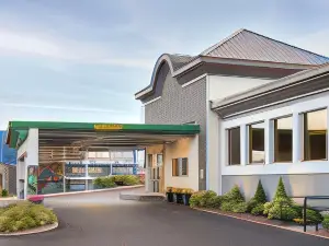 Comfort Suites Kingston Central