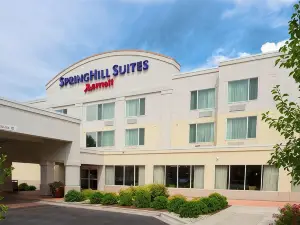 博伊西ParkCenter SpringHill Suites飯店