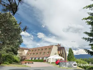 Wellness Hotel Diana